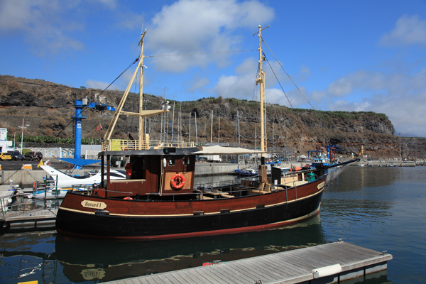 de Bussard bij La Palma